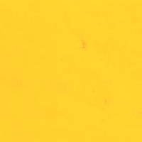 PP GOLDEN YELLOW GLOSSY